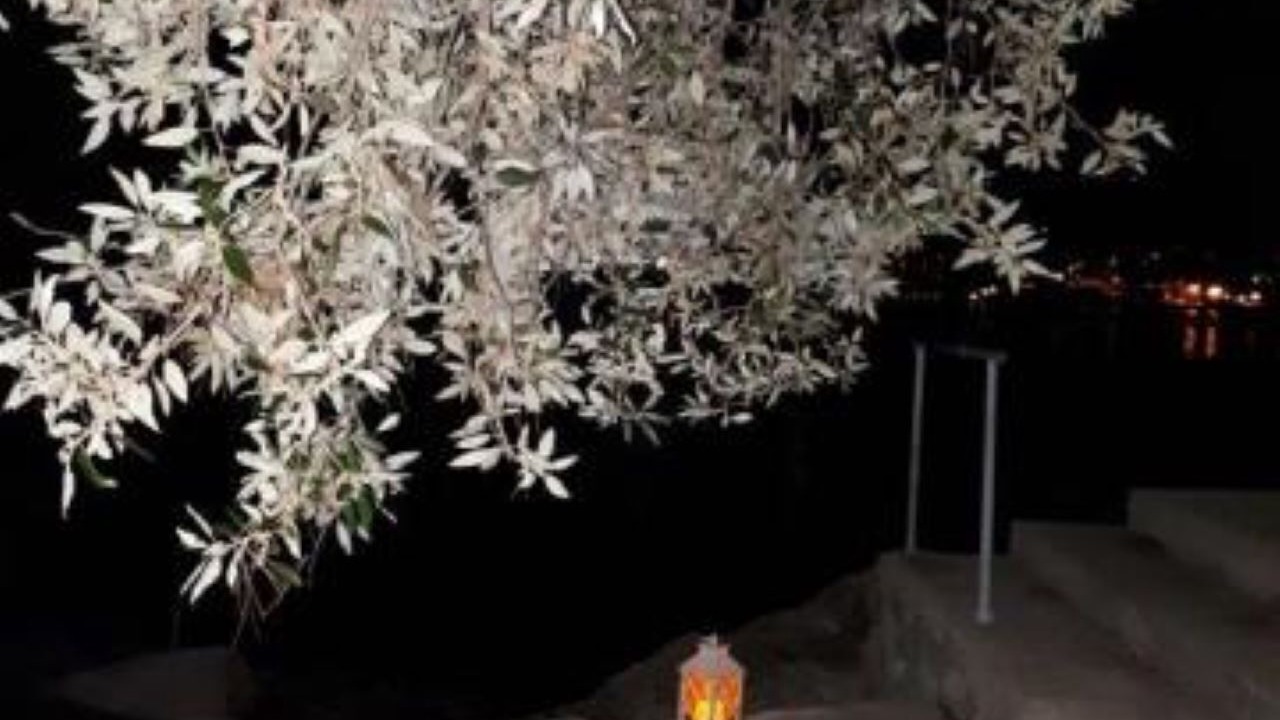 Photo of Outdoor in Brna
