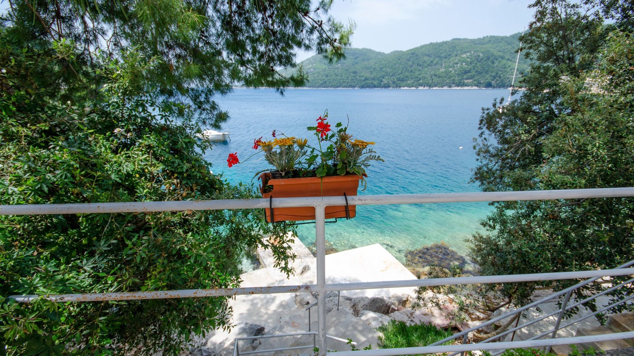 Photo of Outdoor in Brna