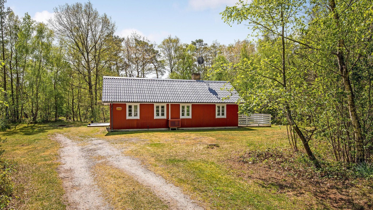 Photo of Outdoor in Dueodde