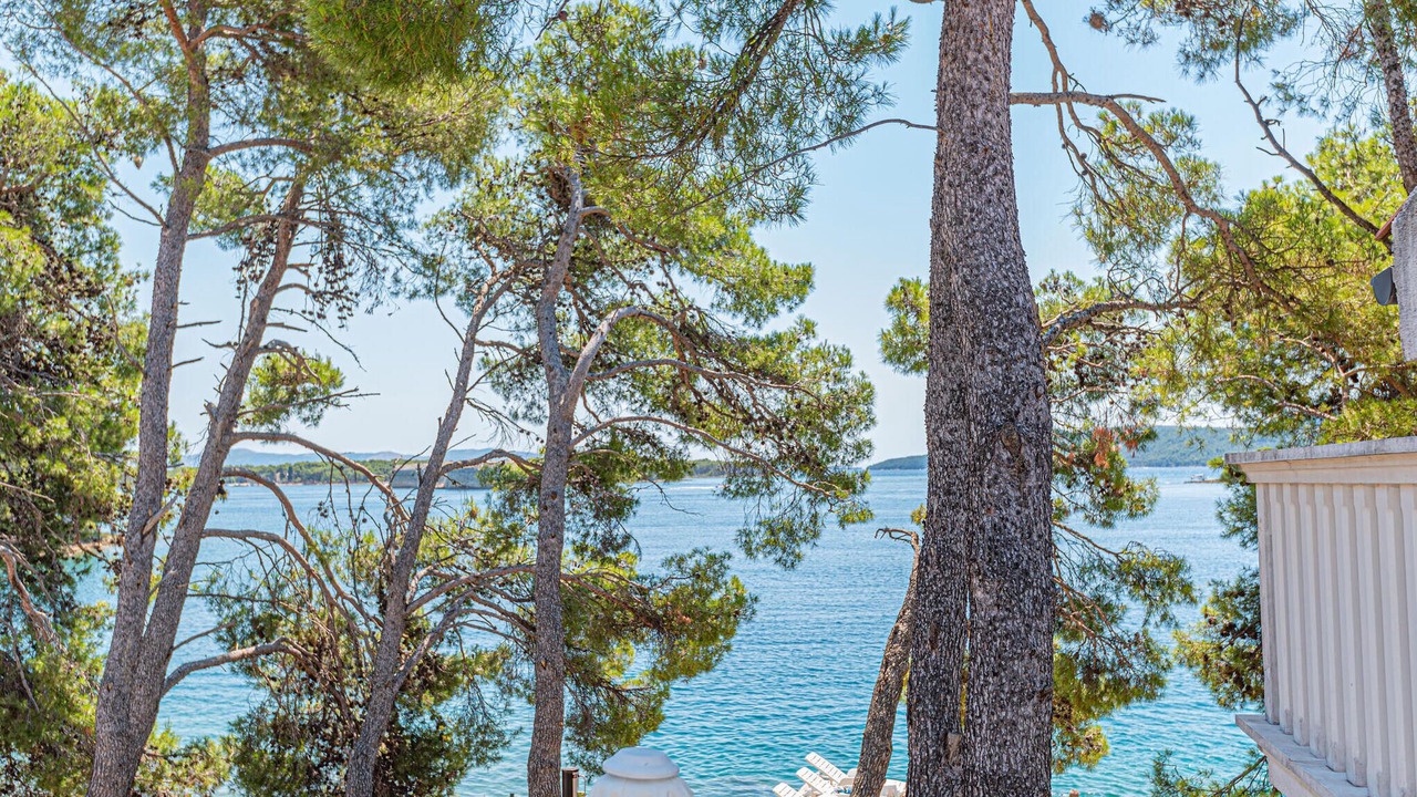 Photo of Others in Sibenik