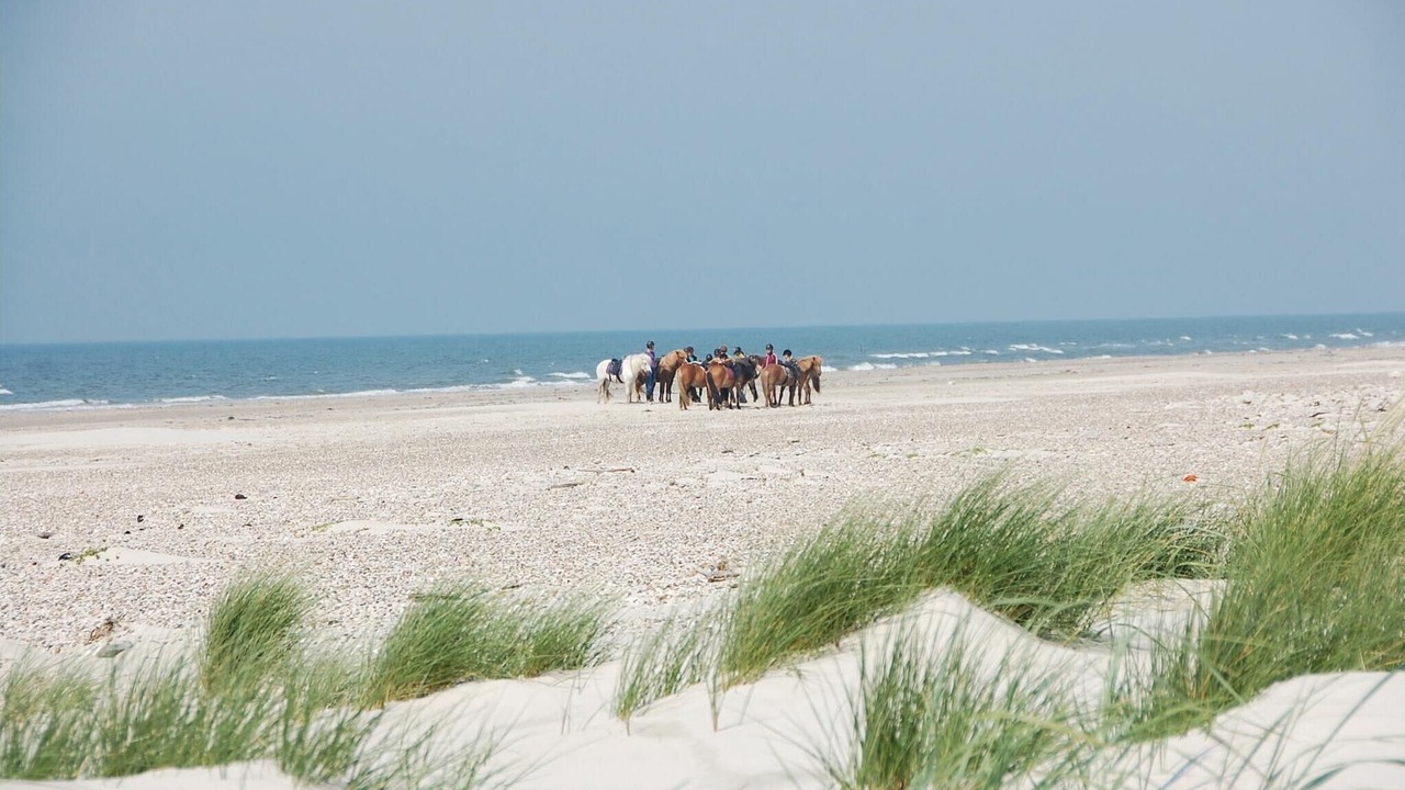 Photo of Others in Blavand