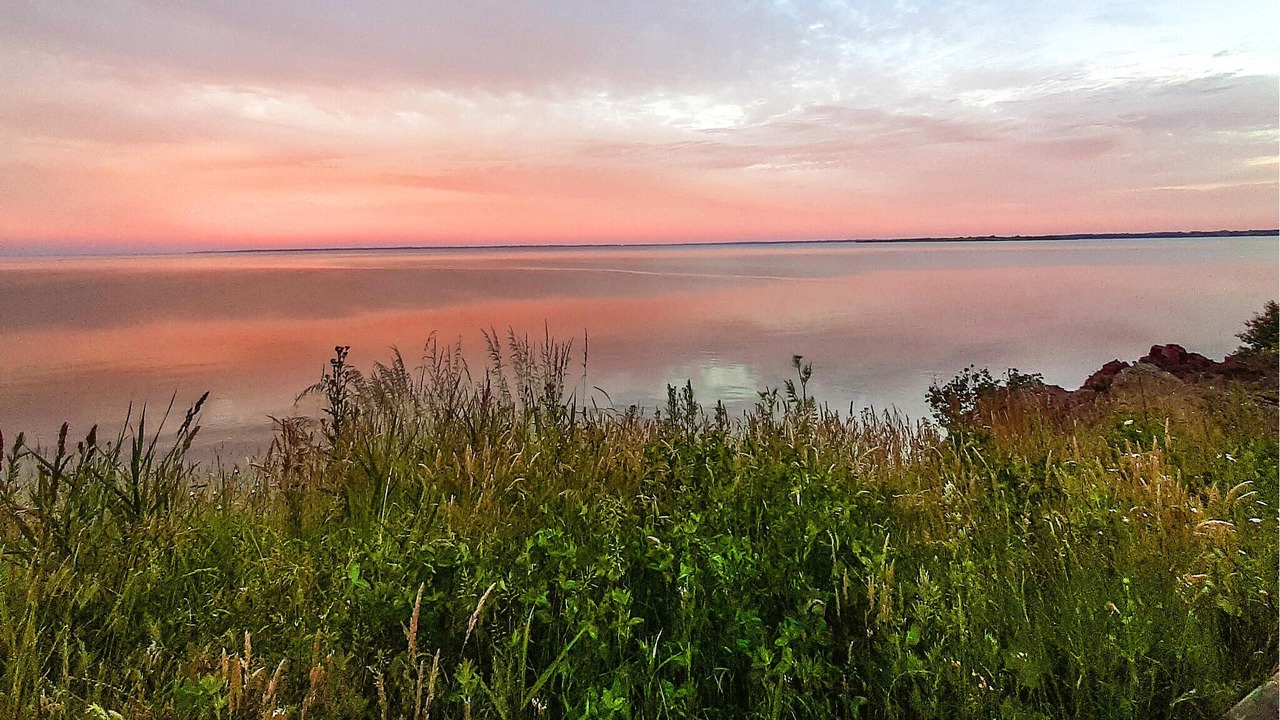 Photo of Others in Kelstrup