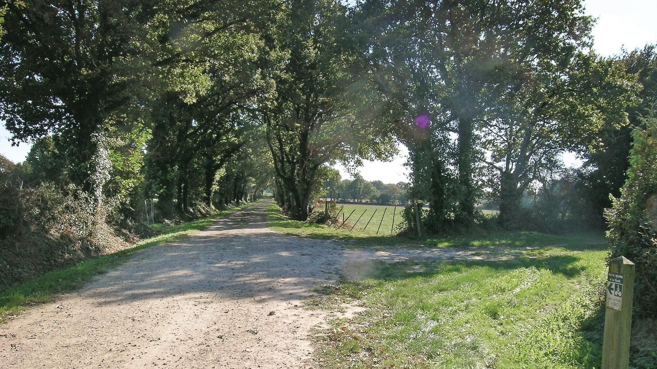 Photo of Others in Saint-Avaugourd-des-Landes