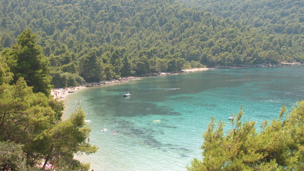Photo of Others in Broce