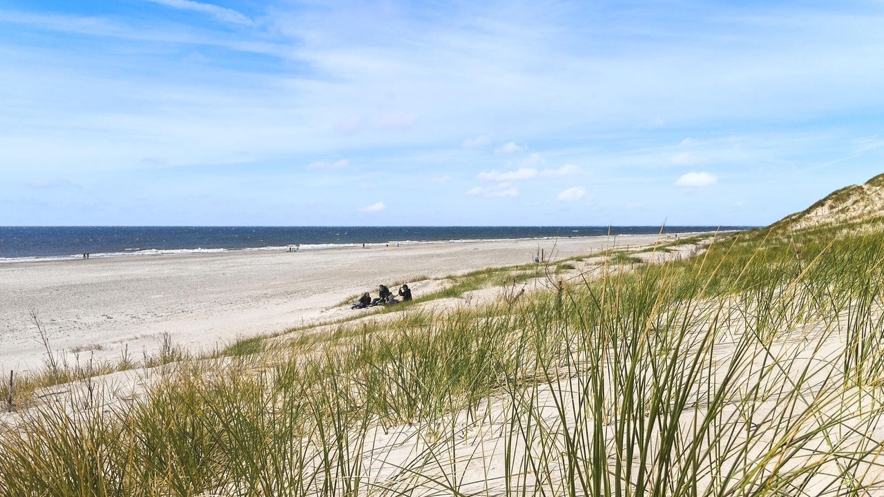 Photo of Others in Bjerregaard