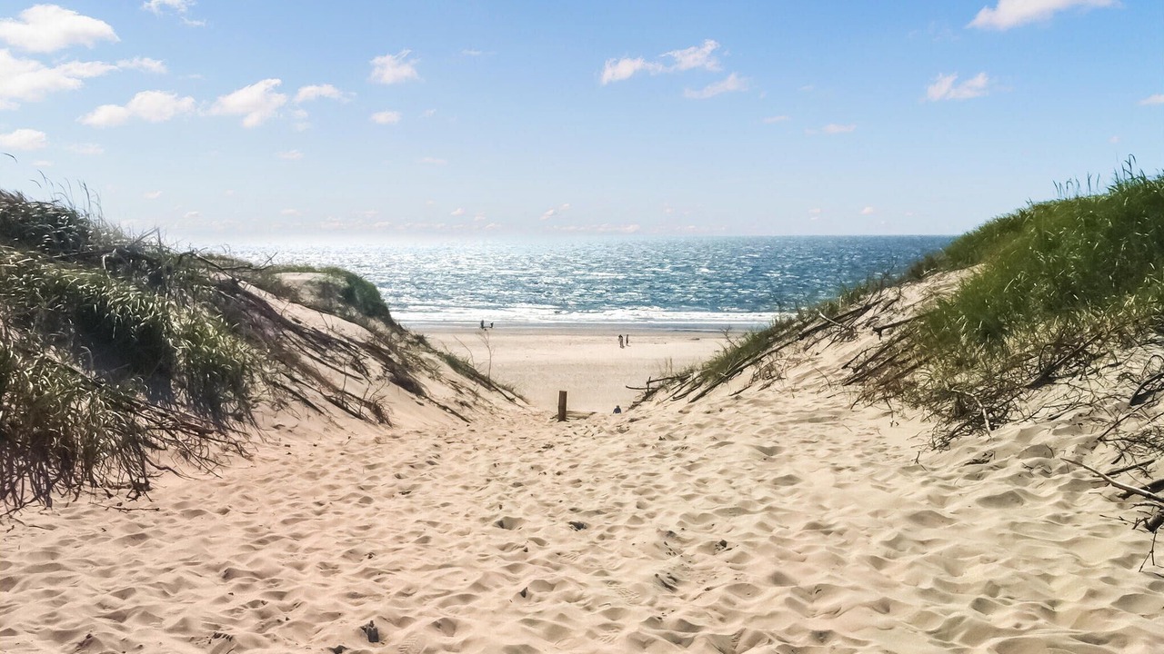 Photo of Others in Bjerregaard
