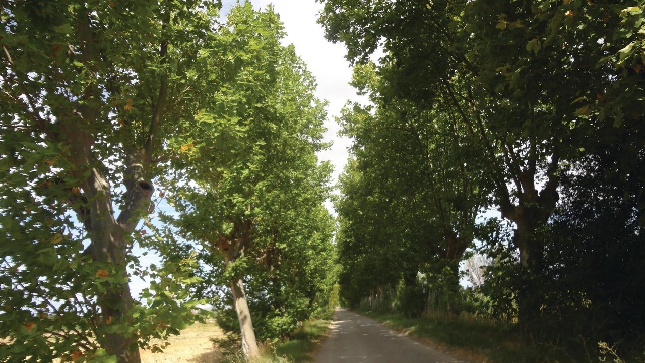 Photo of Bedroom in Narbonne