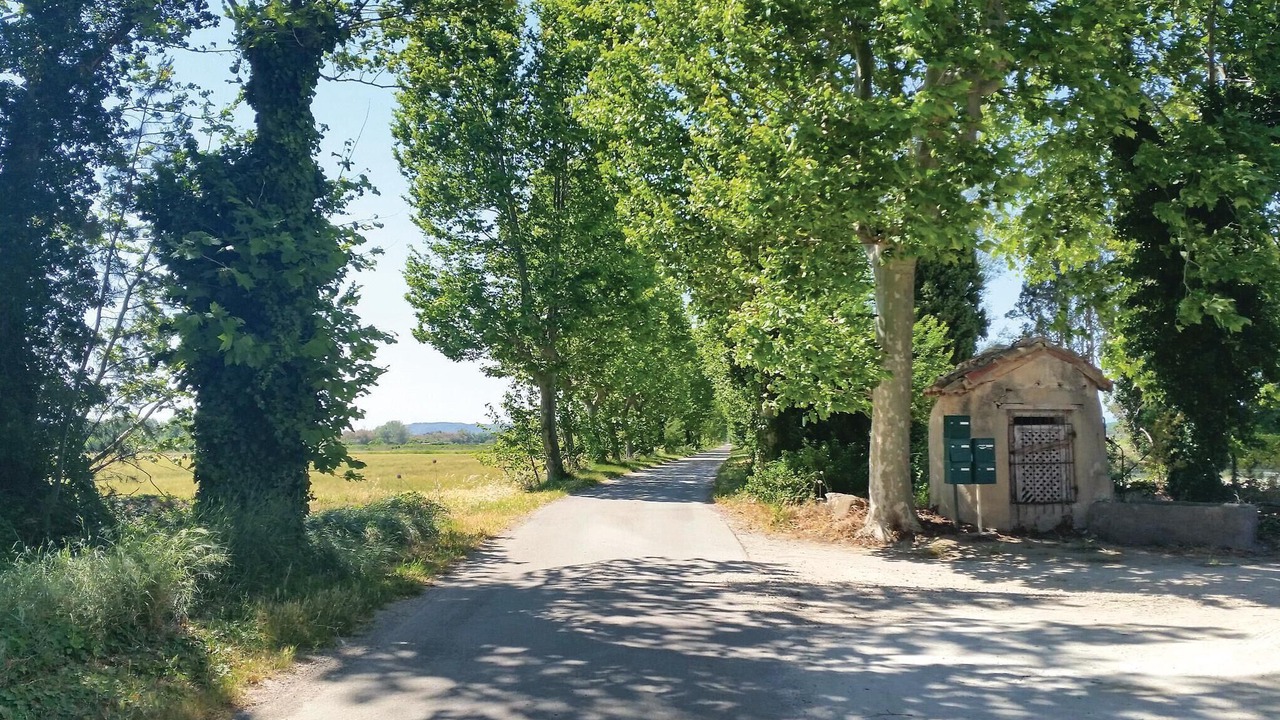 Photo of Others in Narbonne