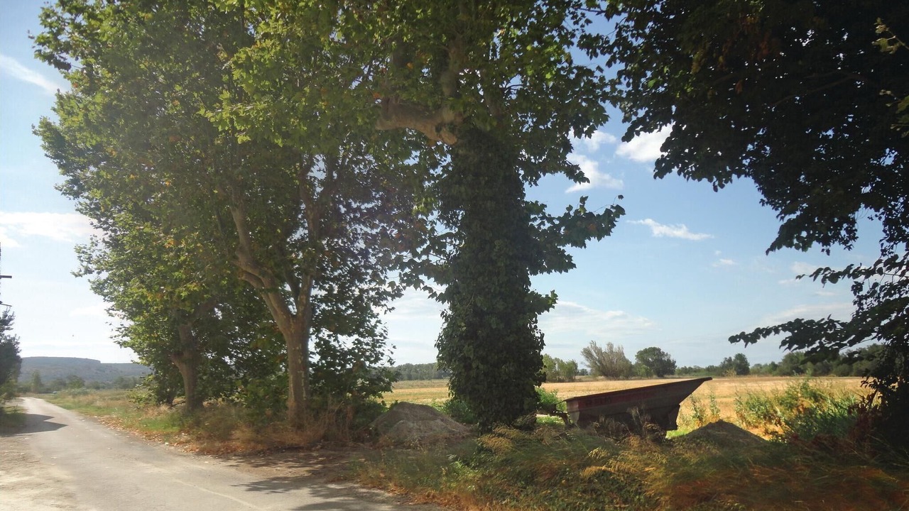 Photo of Bedroom in Narbonne
