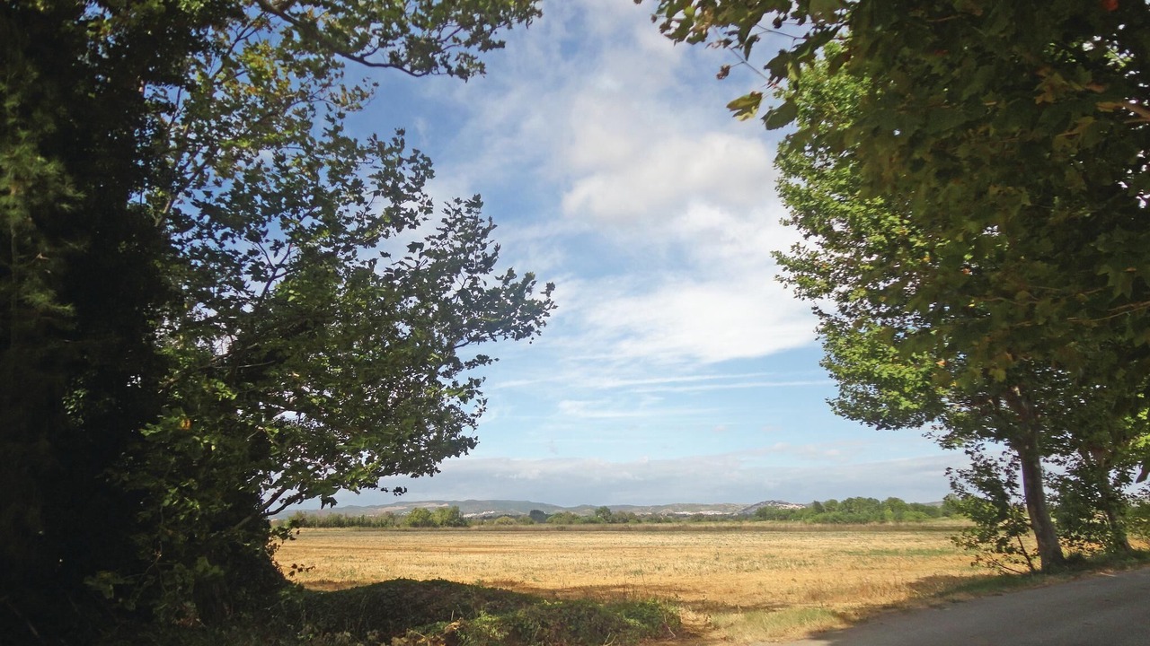 Photo of Bedroom in Narbonne