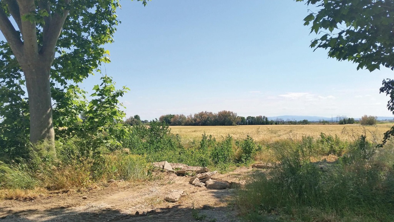 Photo of Others in Narbonne