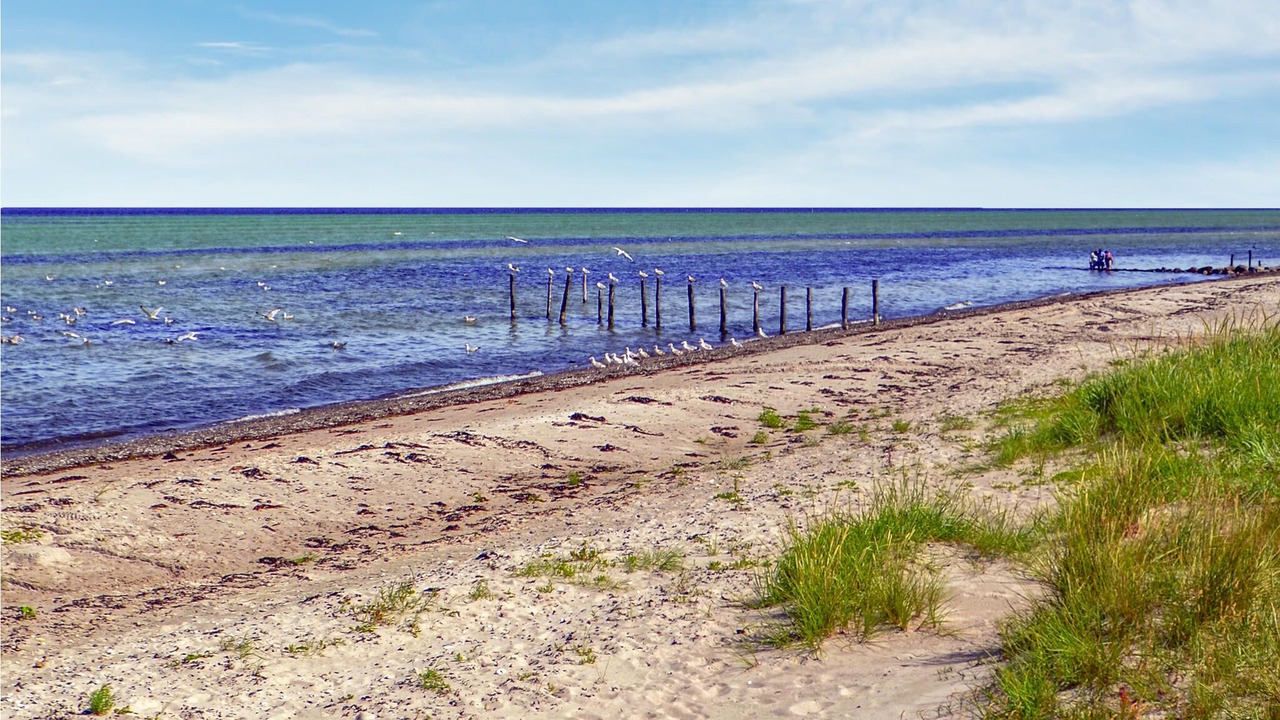 Photo of Others in Fjellerup Strand