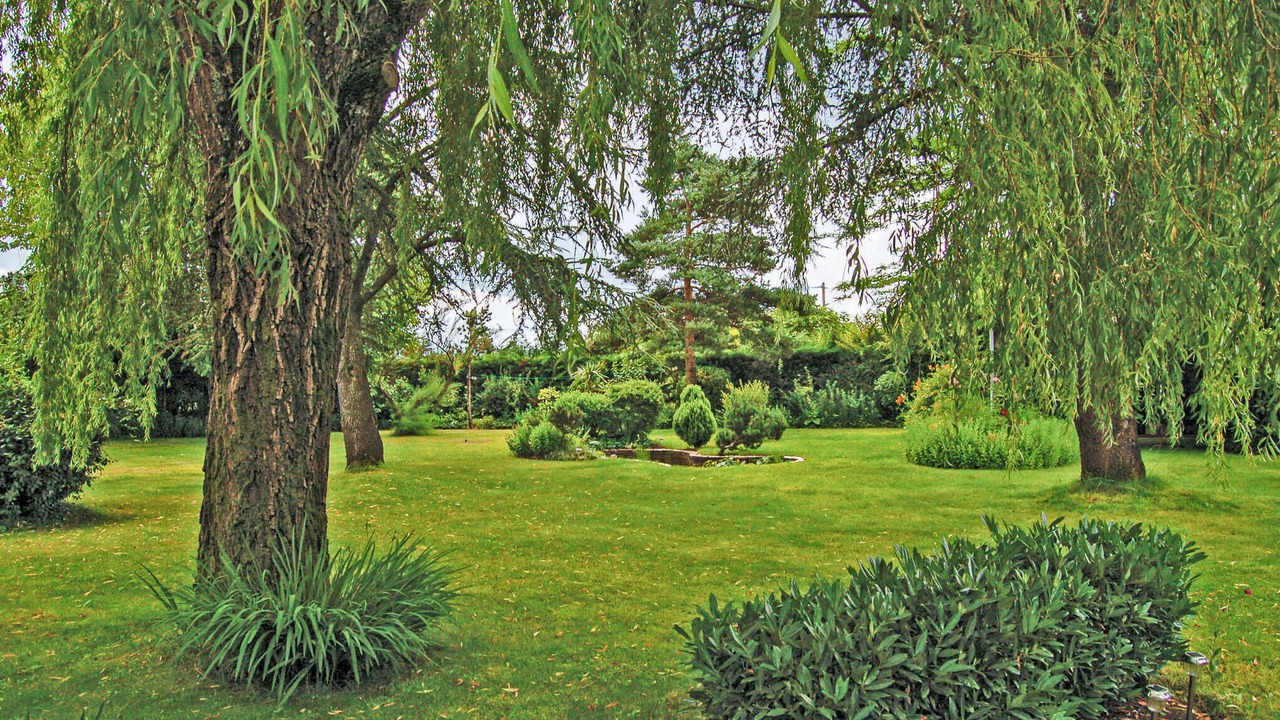 Photo of Outdoor in Cezac