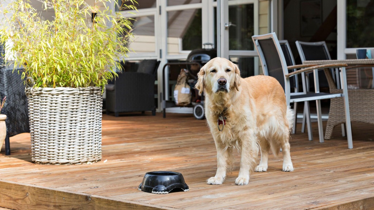 Photo of Others in Grenaa