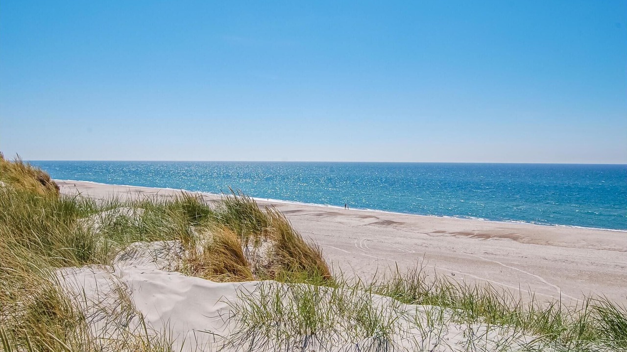 Photo of Others in Argab