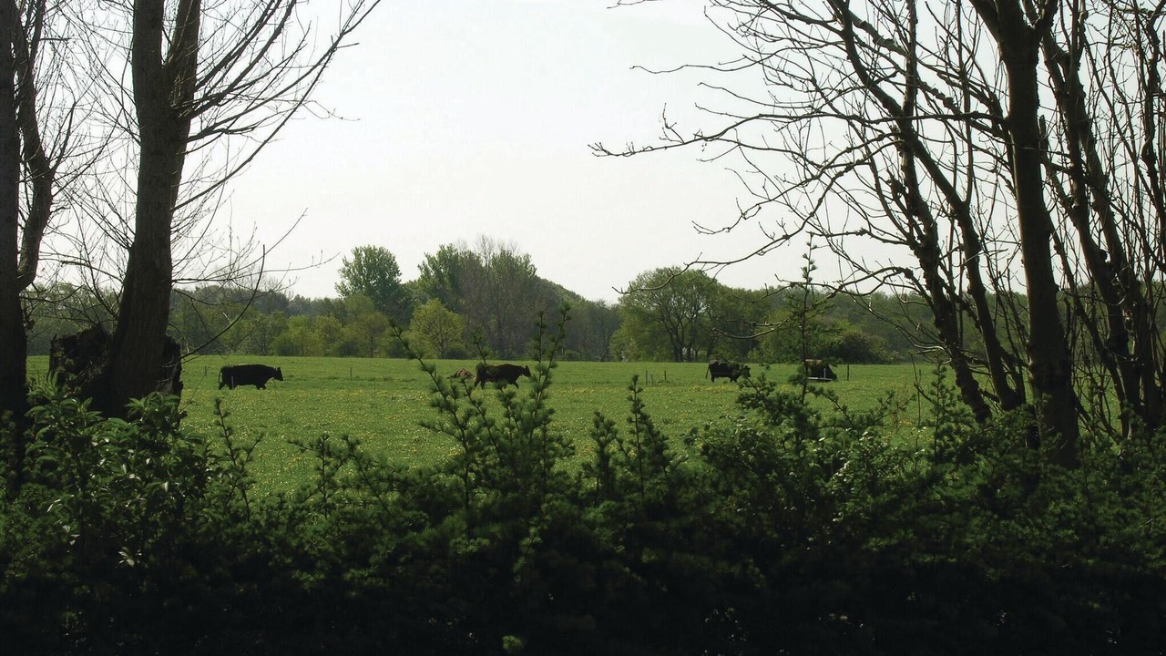 Photo of Others in Middelfart
