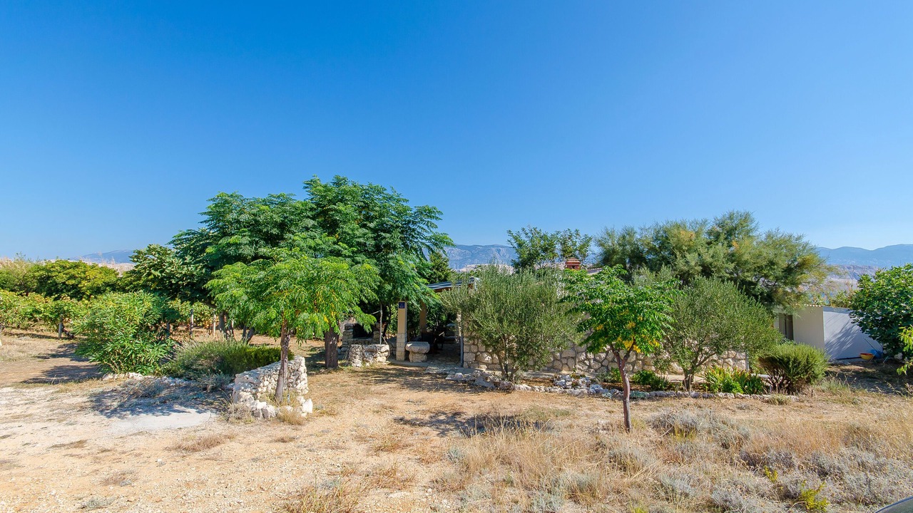Photo of Outdoor in Kolan