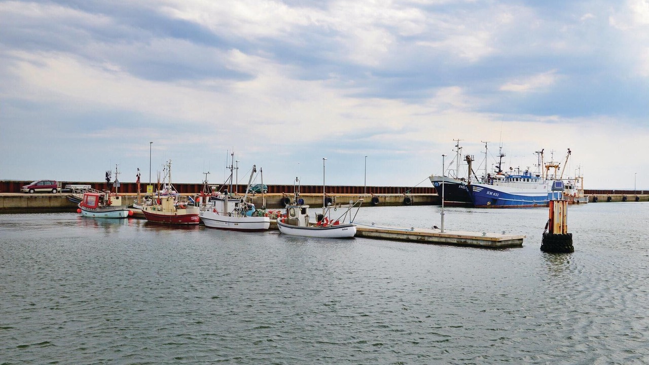 Photo of Others in Harboore