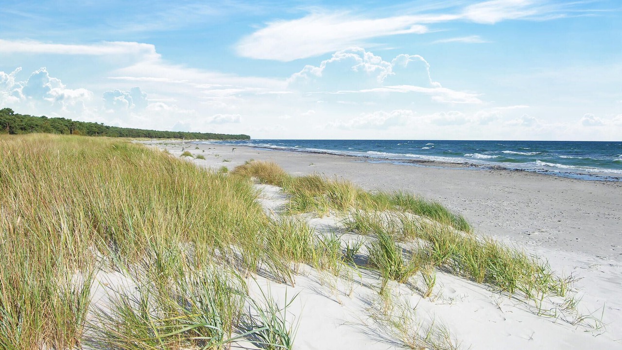 Photo of Others in Hasle