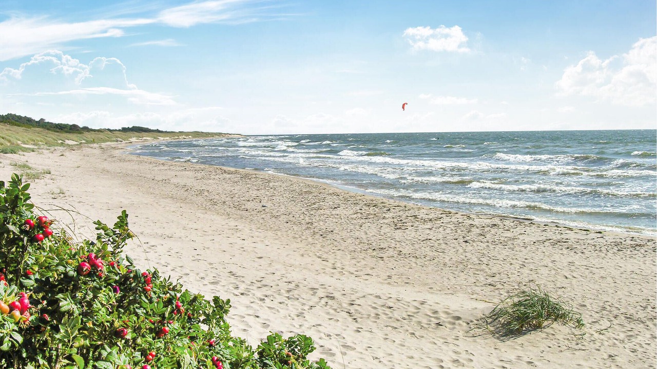 Photo of Others in Hasle