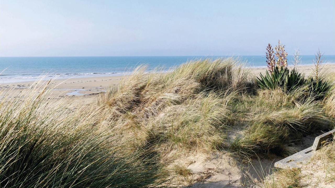 Photo of Others in Saint-Germain-sur-Ay