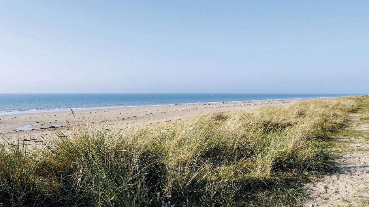 Photo of Others in Saint-Germain-sur-Ay