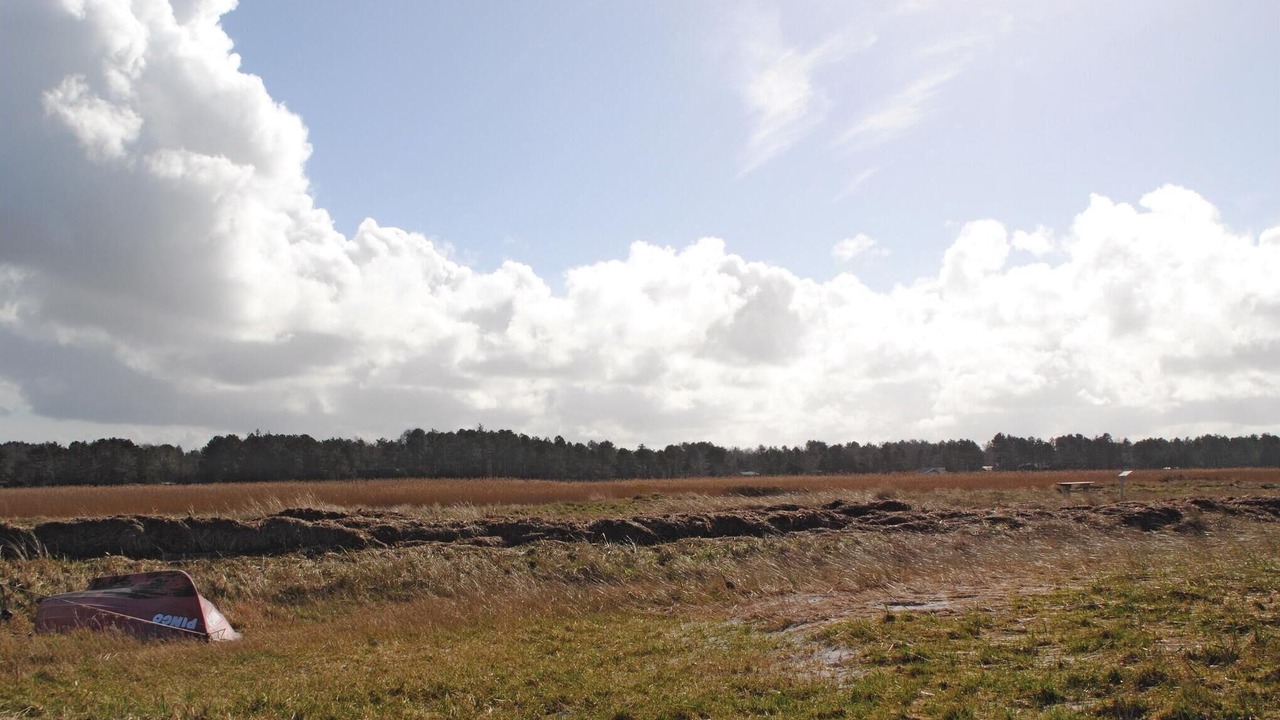 Photo of Others in Hoensinge