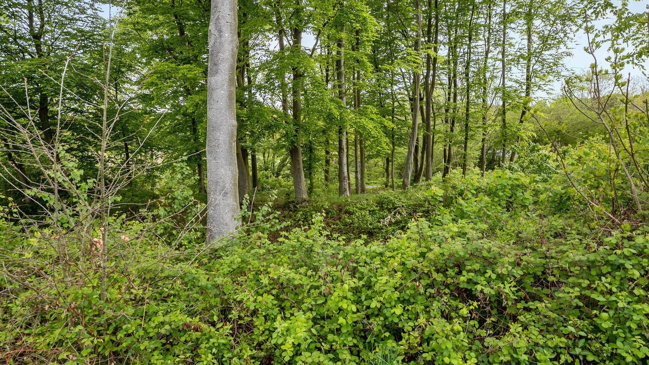 Photo of Others in Aabenraa