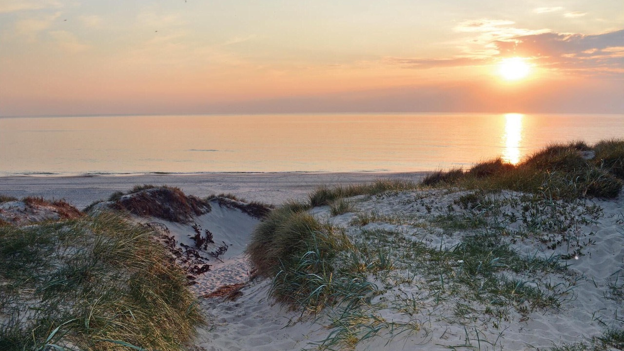 Photo of Others in Grærup Strand