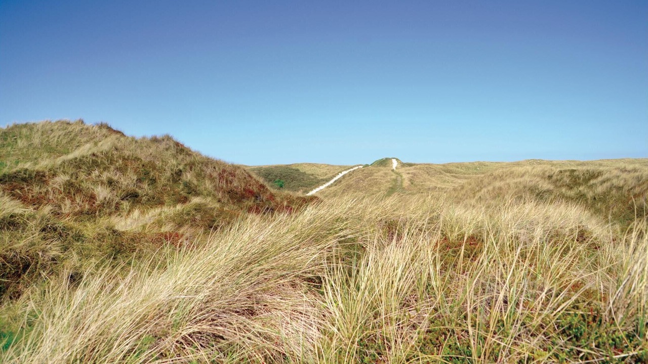 Photo of Others in Grærup Strand