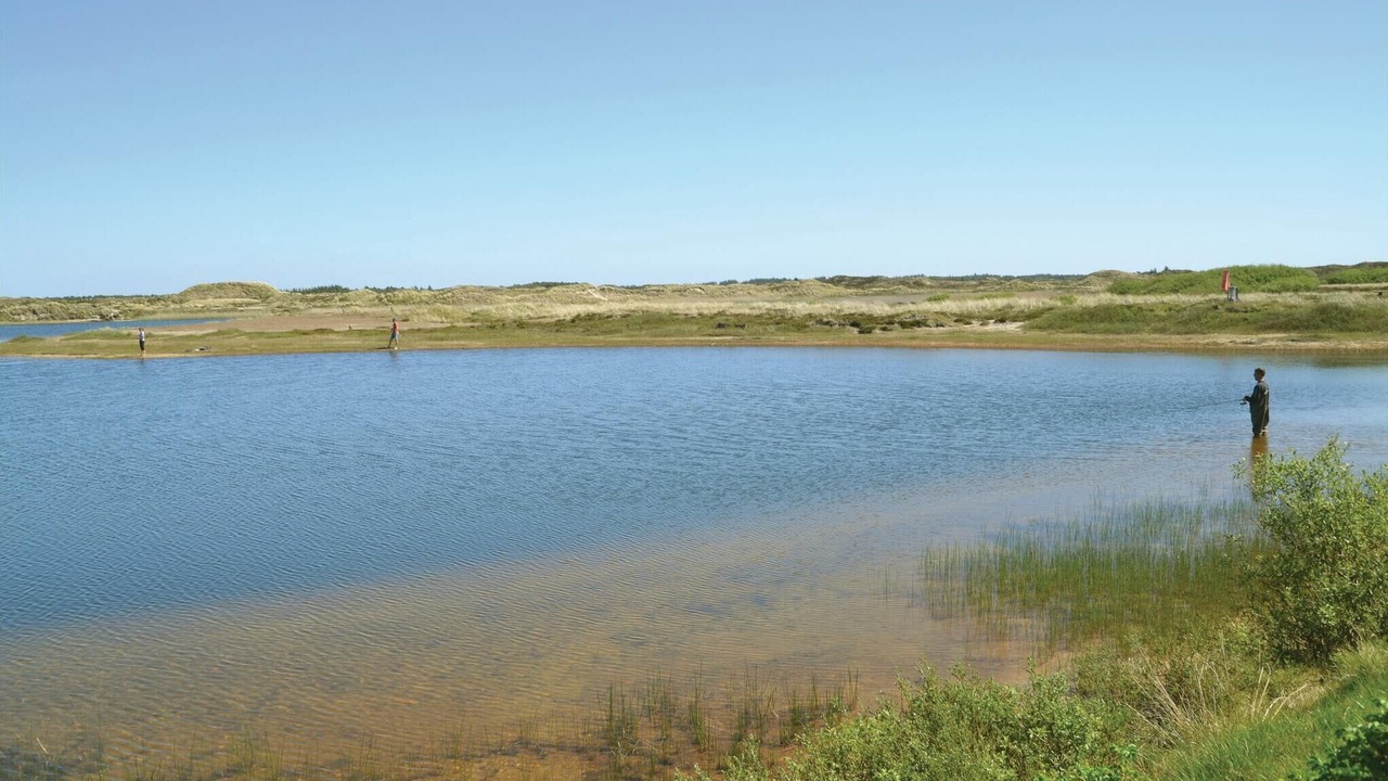 Photo of Others in Grærup Strand