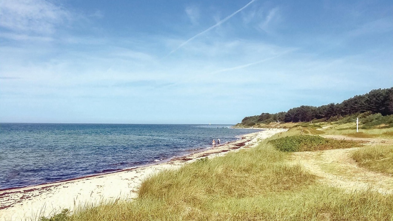 Photo of Others in Hasle