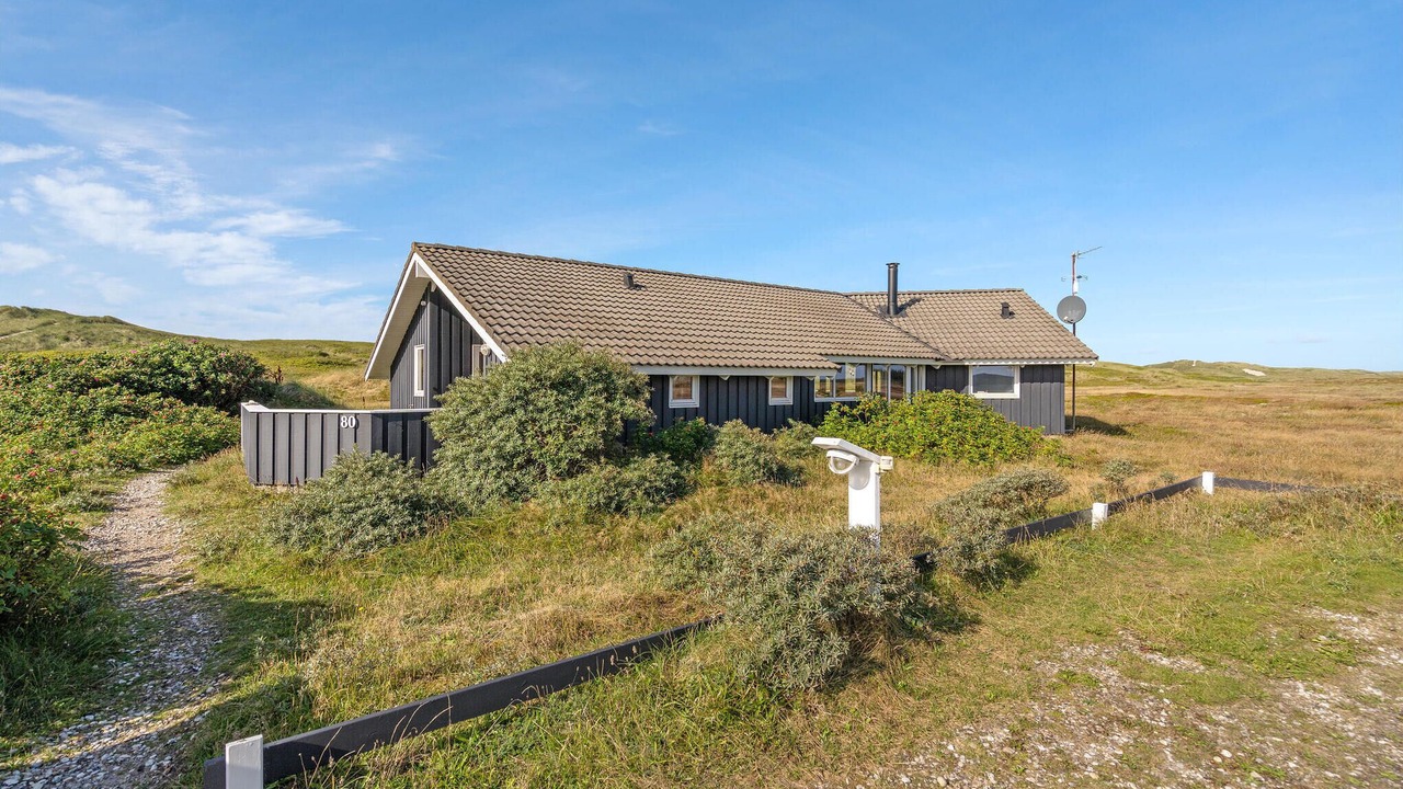 Photo of Others in Hvide Sande