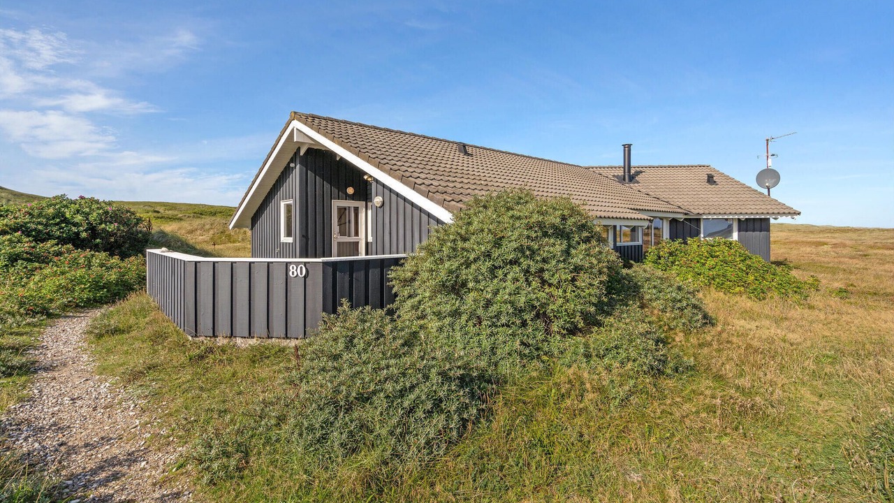 Photo of Others in Hvide Sande