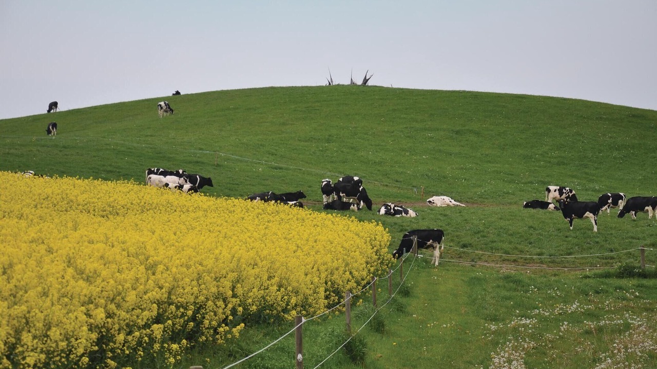 Photo of Others in Faaborg