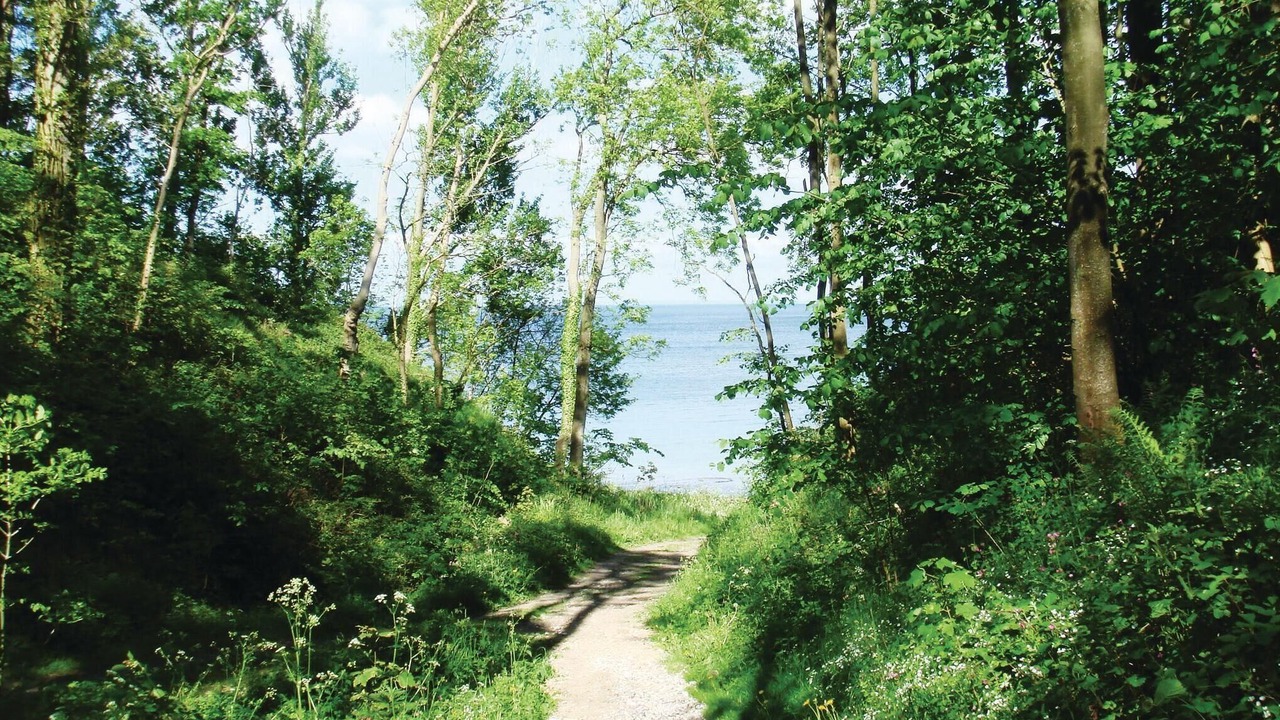 Photo of Others in Mommark Strand