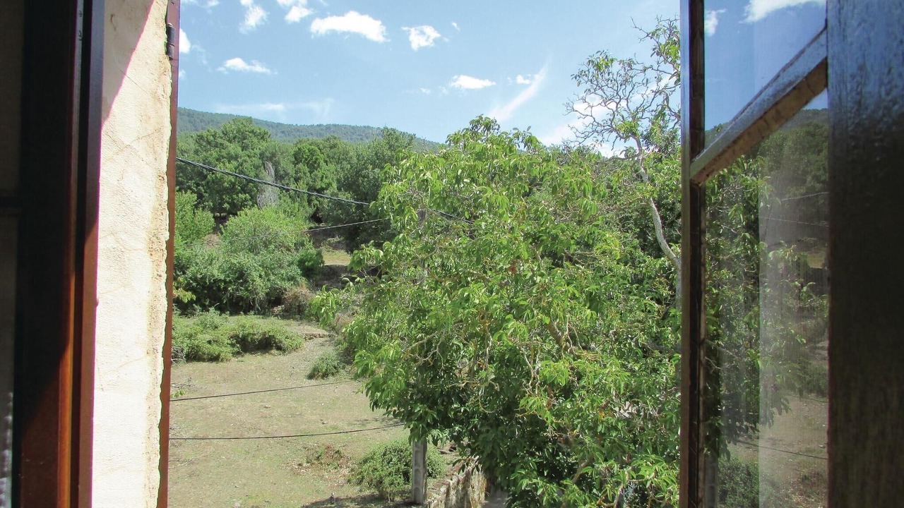 Photo of Bedroom in Valle-di-Rostino