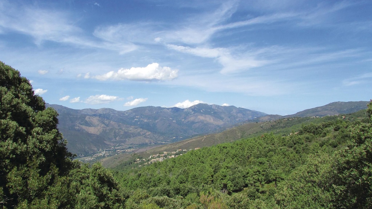 Photo of Others in Valle-di-Rostino