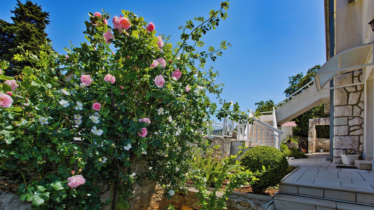 Photo of Outdoor in Hvar