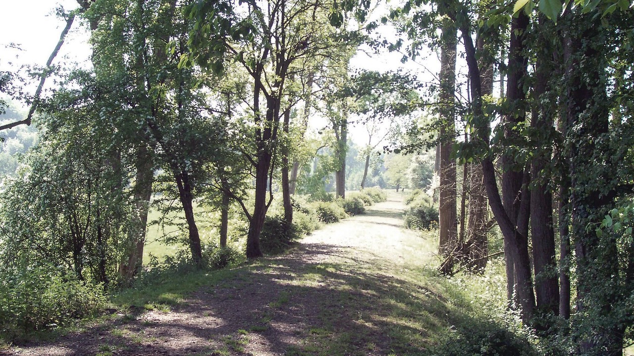 Photo of Others in Romery