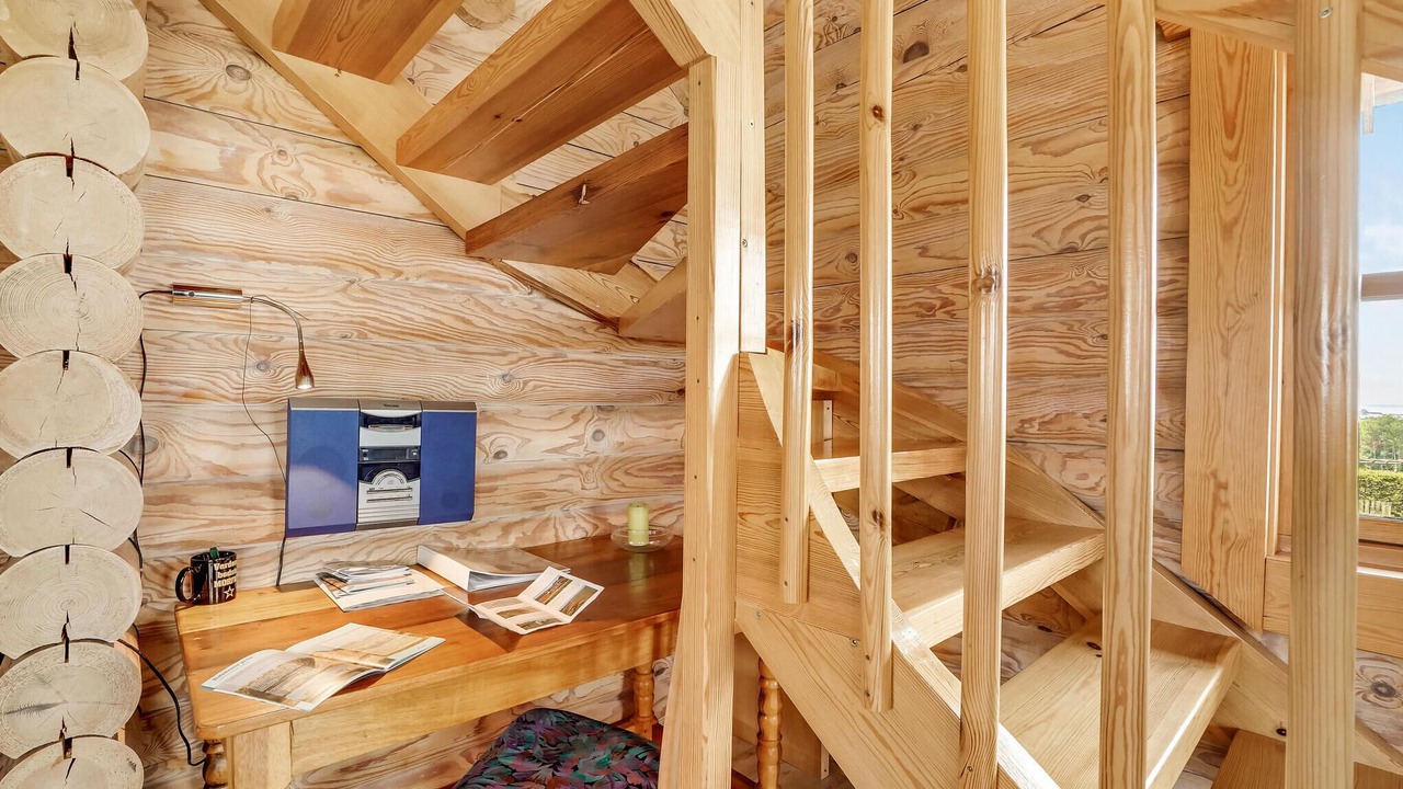 Photo of Others in Fur