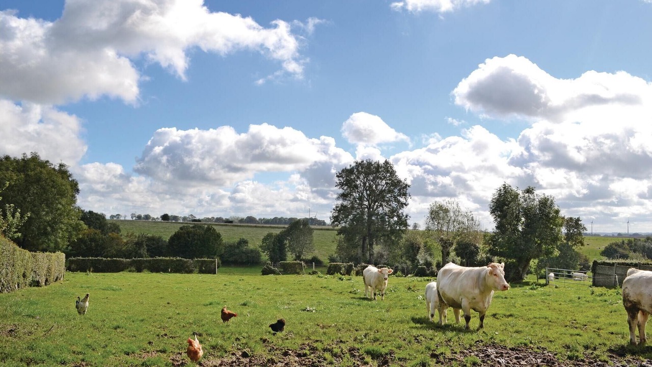 Photo of Others in Bourthes