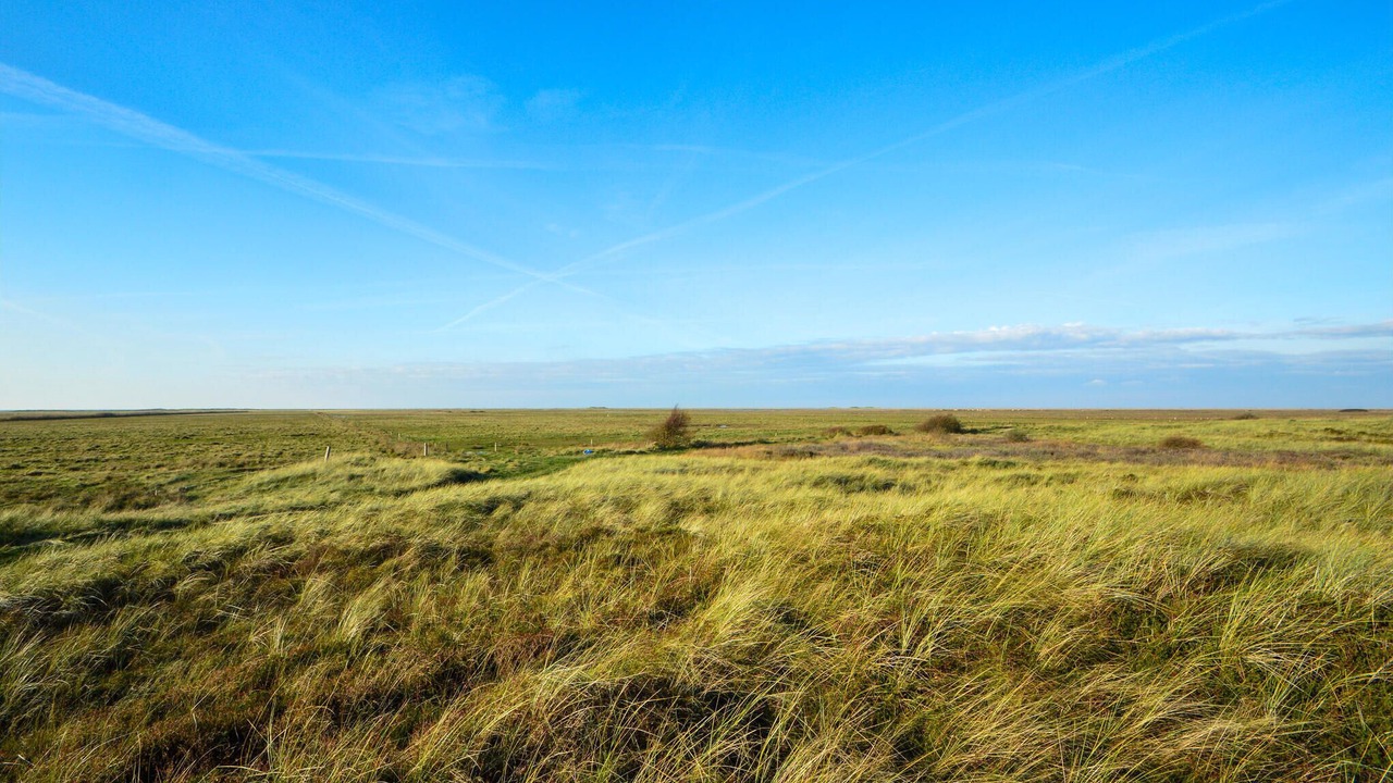 Photo of Others in Toftum