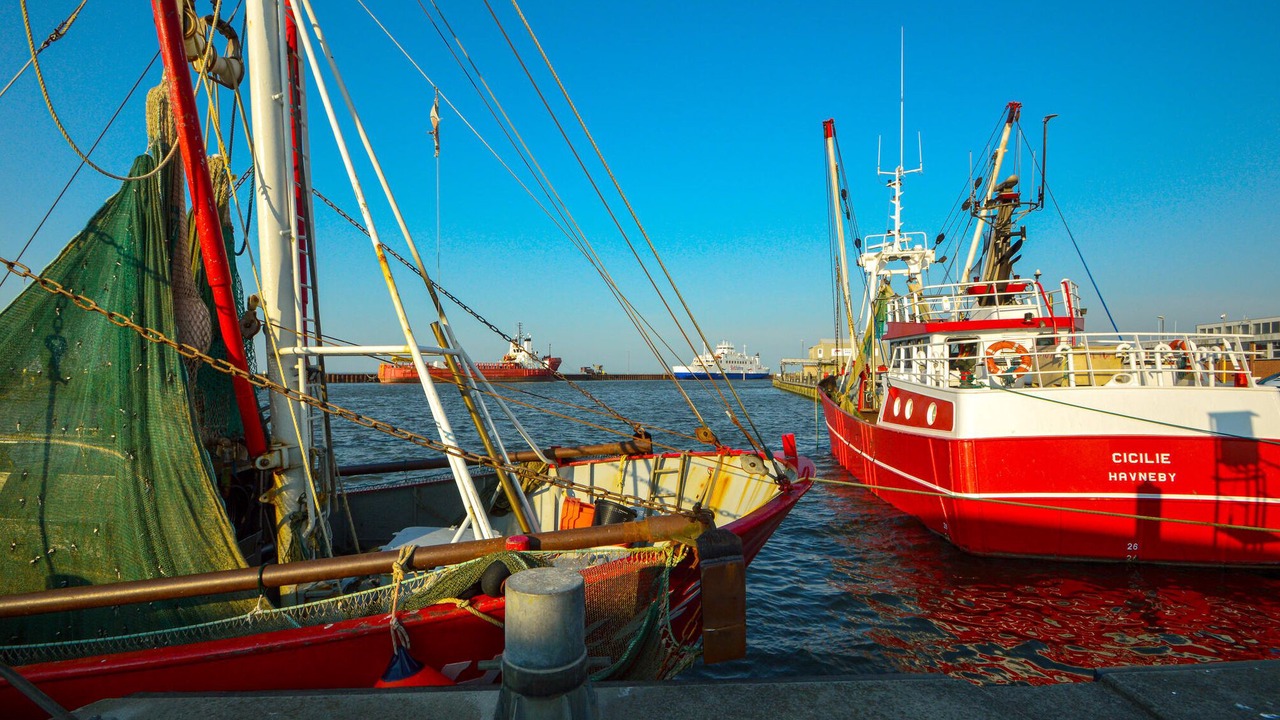 Photo of Others in Toftum