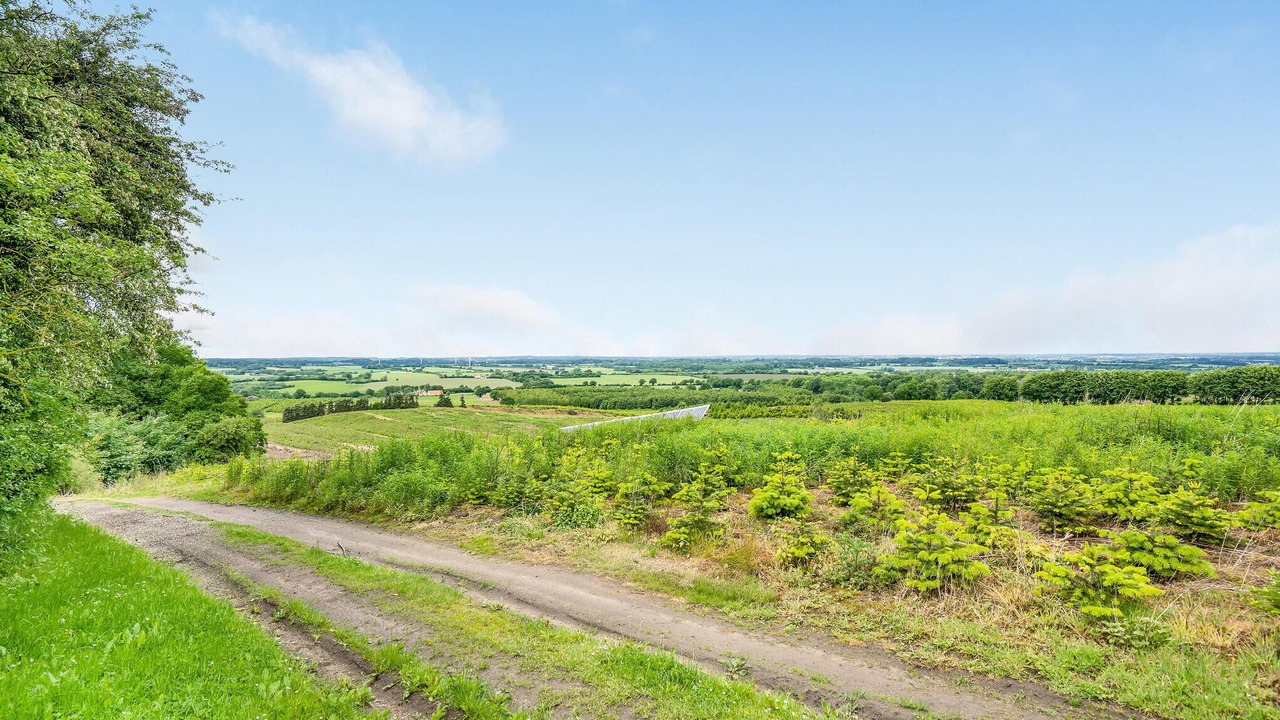 Photo of Bedroom in Sjølund