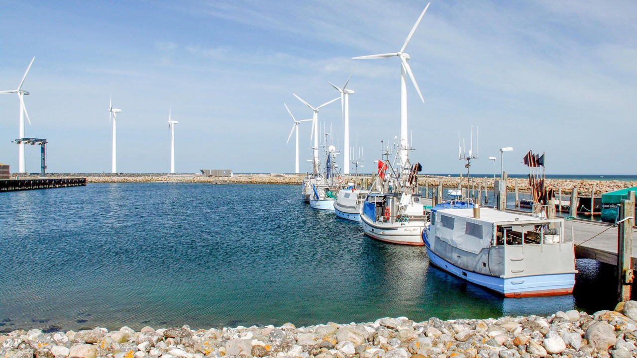 Photo of Others in Bønnerup Strand