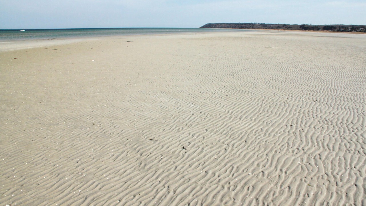 Photo of Others in Bønnerup Strand
