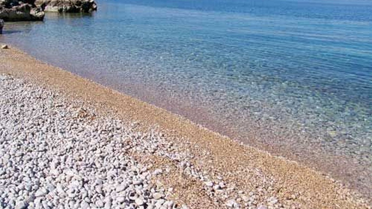 Photo of Others in Stinica