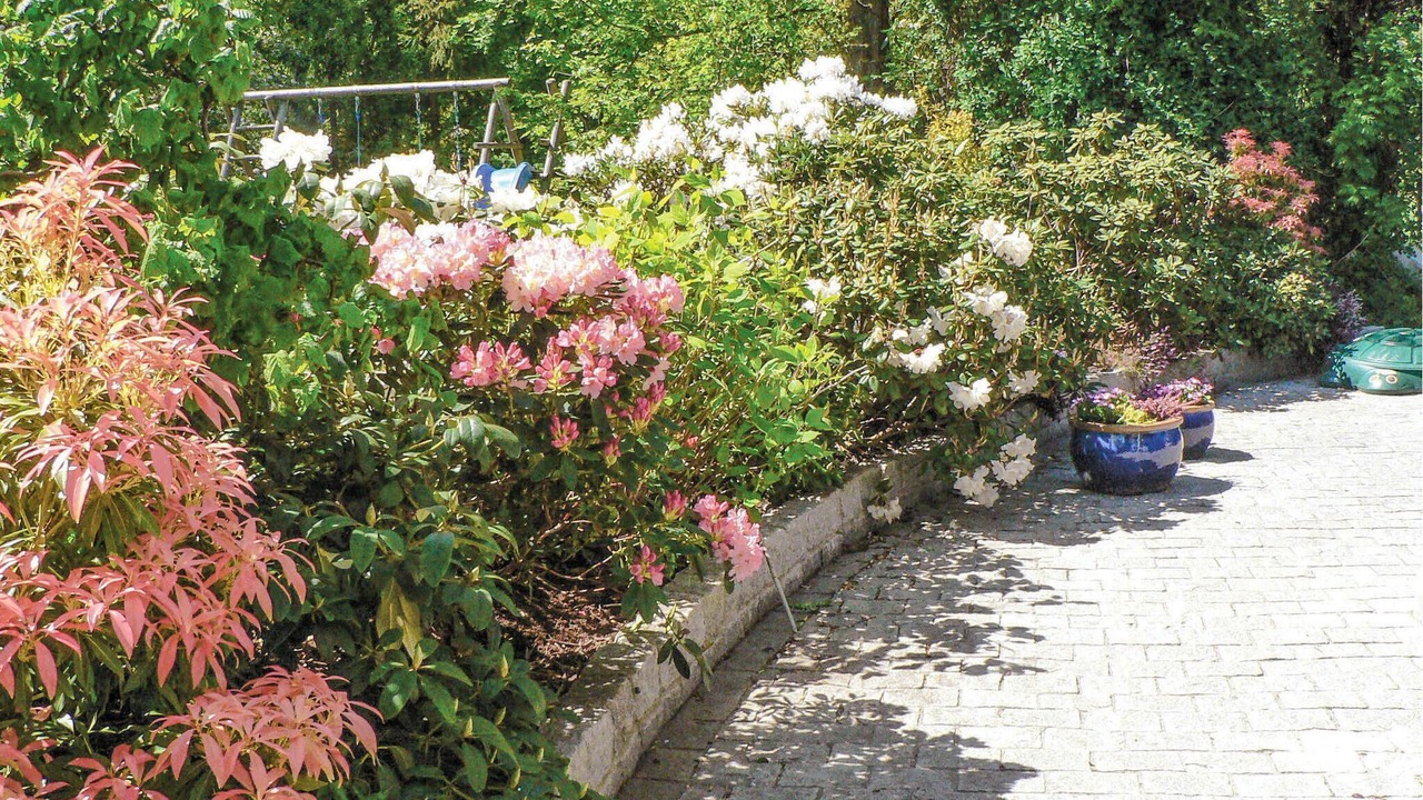 Photo of Others in Smidstrup Strand