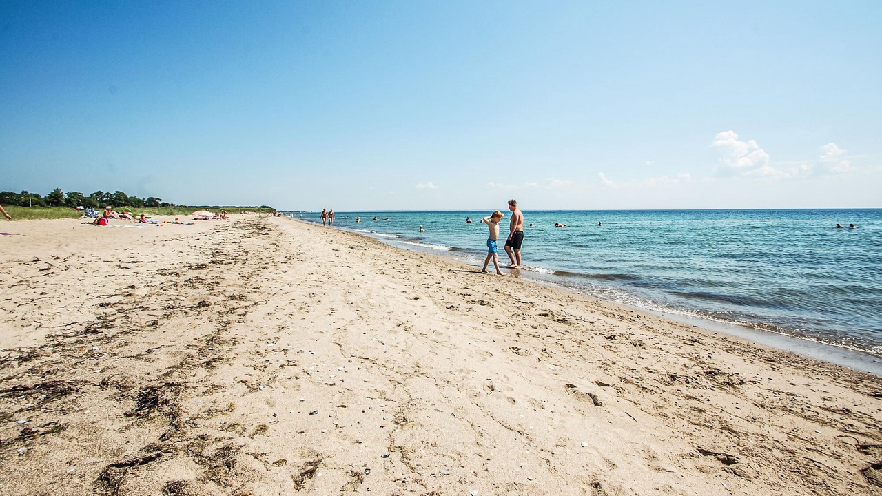 Photo of Others in Flovt Strand